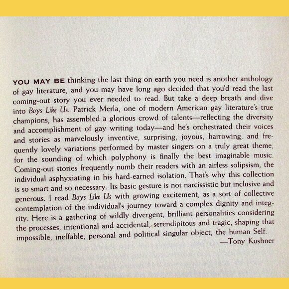 Book - Boys Like Us: Gay Writers Tell Their Coming Out Stories, ed Patrick Merla - Picture 4 of 15